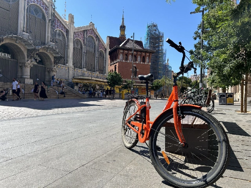 Orange Fox Bike Rental Valencia & Tours